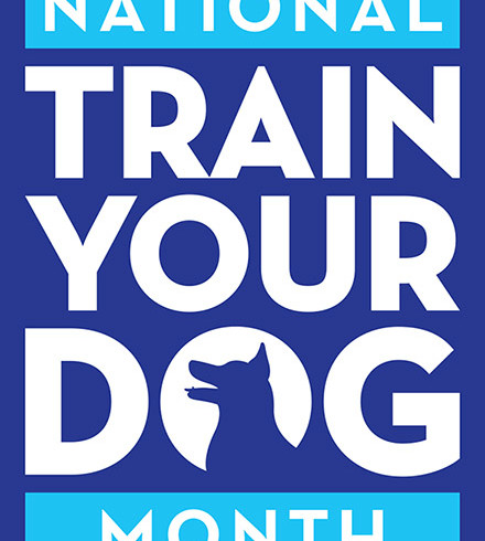 Train Your Dog Month Behavior Focus: May I Pet Your Dog?