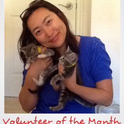 Volunteer Spotlight: Jong Kim